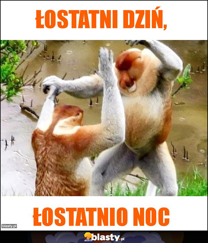 Łostatni dziń, Łostatni dziń,