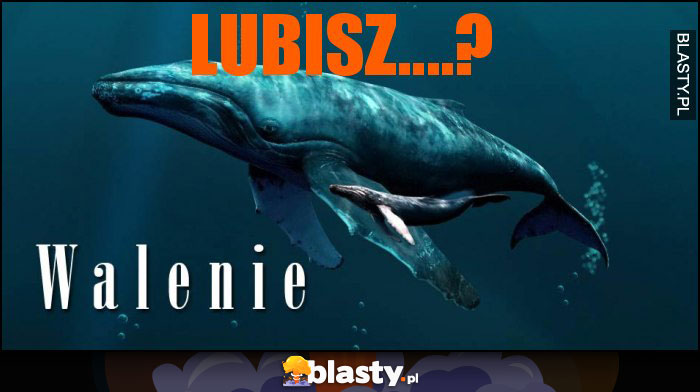 Lubisz....? Lubisz....?