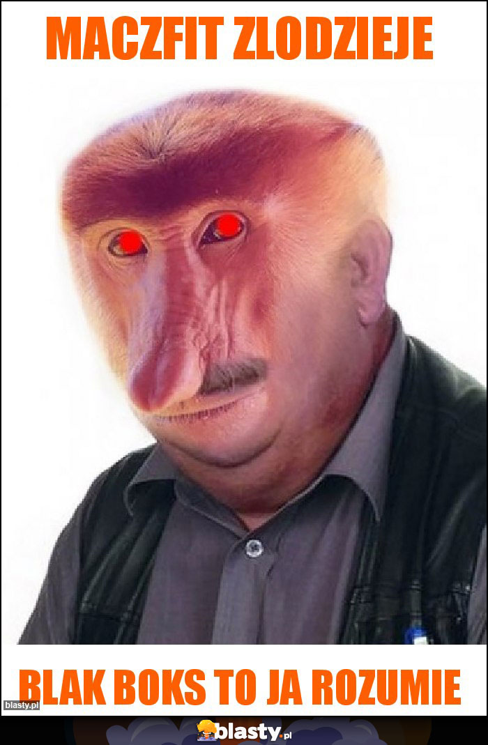 Maczfit zlodzieje Maczfit zlodzieje