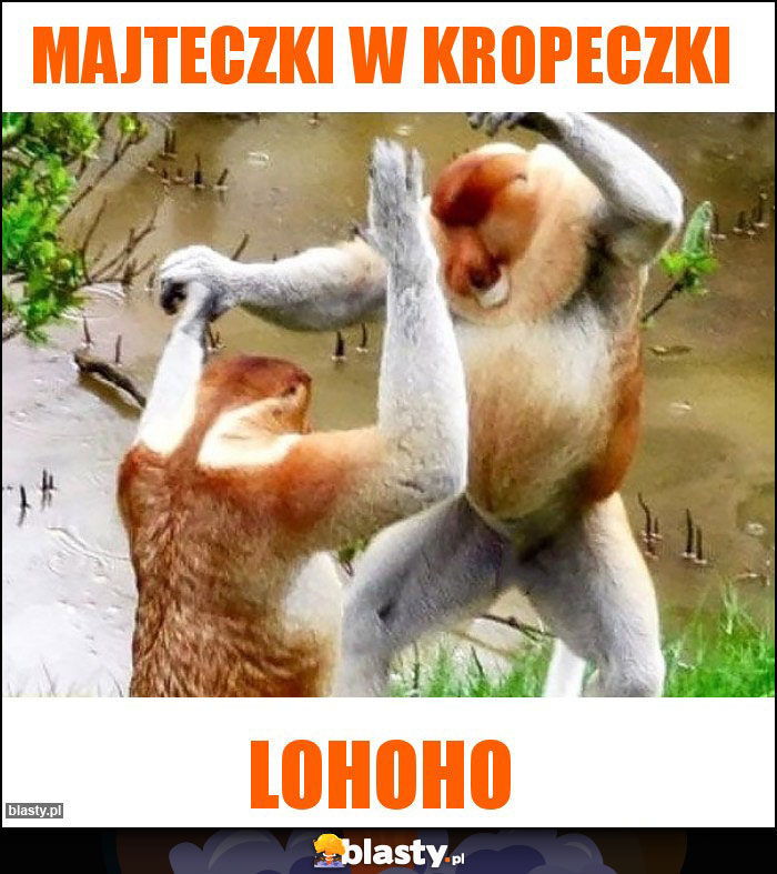 Majteczki w kropeczki Majteczki w kropeczki