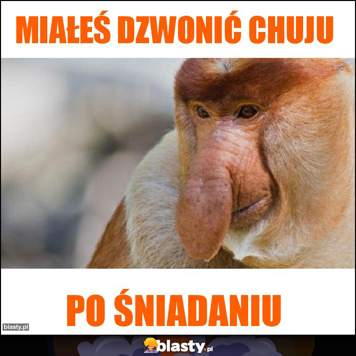 Miałeś dzwonić chuju