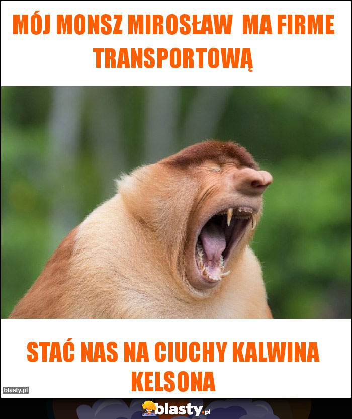 Mój monsz Mirosław  ma firme transportową