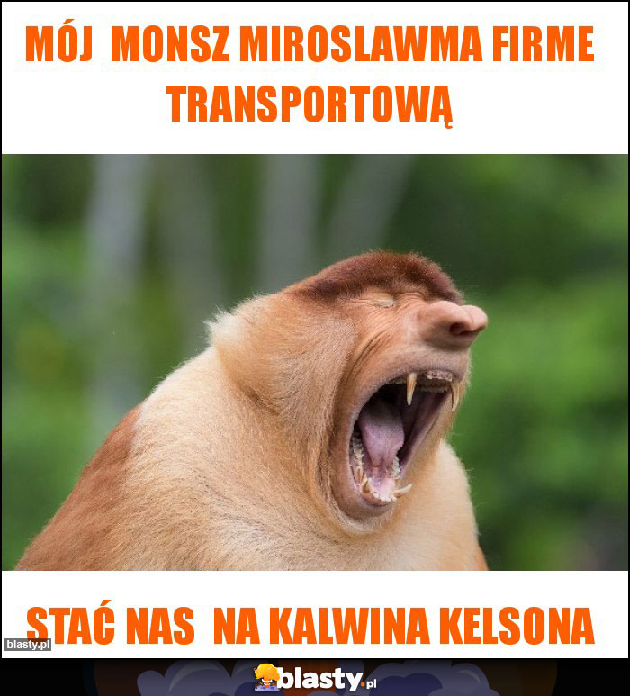Mój monsz miroslawma firme transportową Mój monsz miroslawma firme transportową