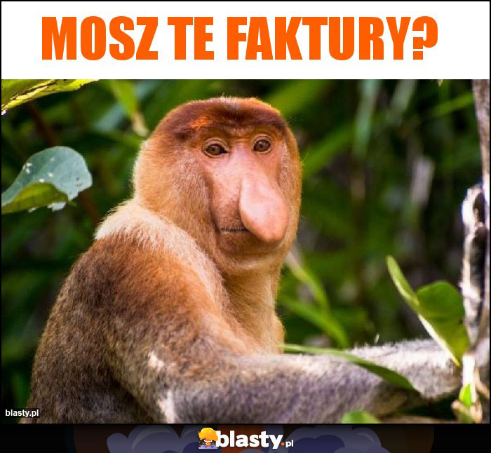 Mosz te faktury?