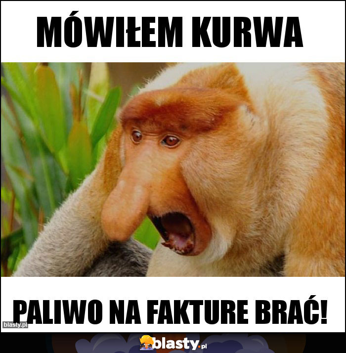 mówiłem kurwa mówiłem kurwa