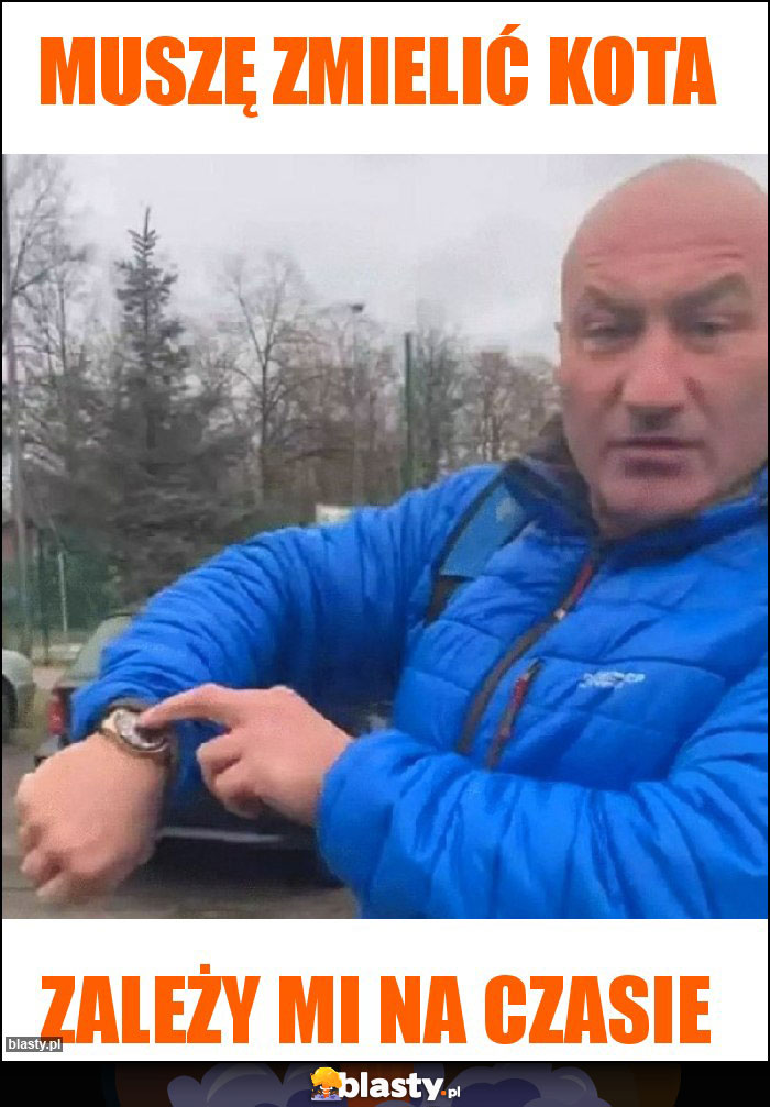 Muszę zmielić kota Muszę zmielić kota