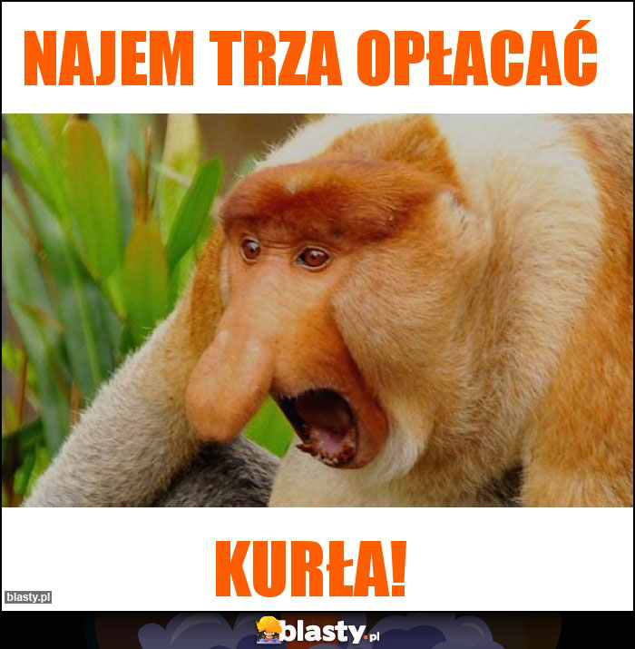 Najem trza opłacać Najem trza opłacać