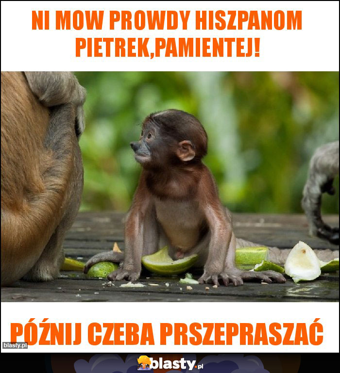 NI MOW PROWDY HISZPANOM PIETREK,PAMIENTEJ! NI MOW PROWDY HISZPANOM PIETREK,PAMIENTEJ!
