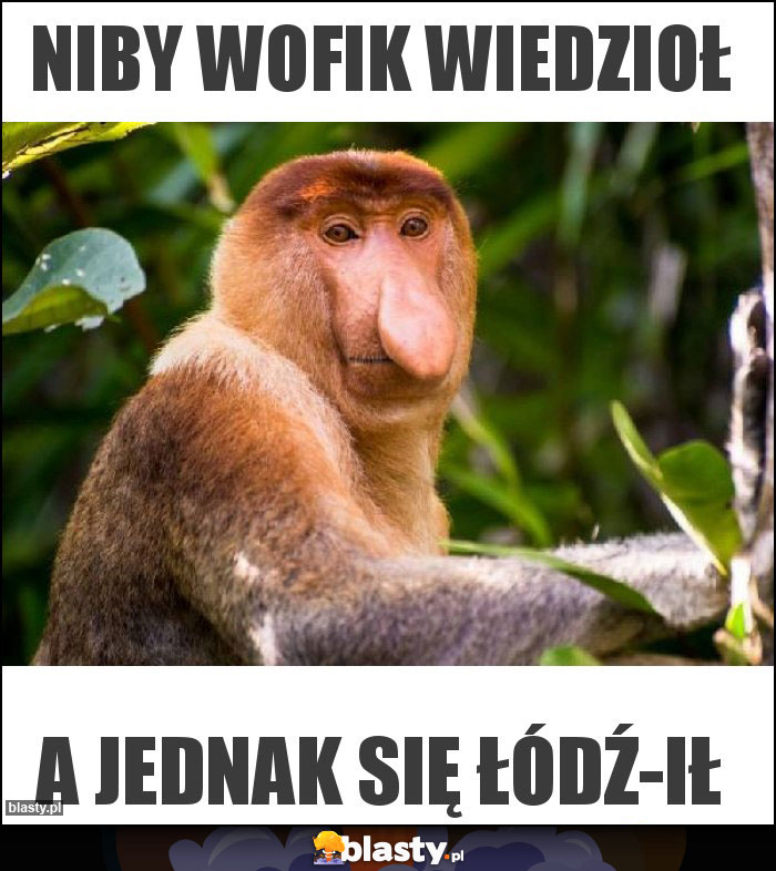 Niby wofik wiedzioł Niby wofik wiedzioł