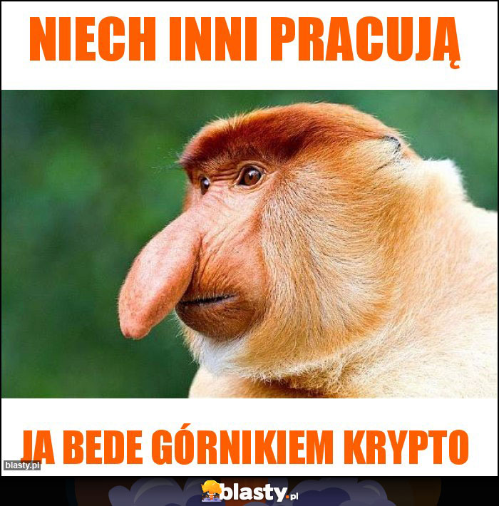 Niech inni pracują Niech inni pracują