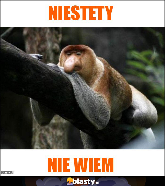 Niestety