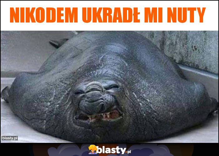 Nikodem ukradł mi nuty Nikodem ukradł mi nuty