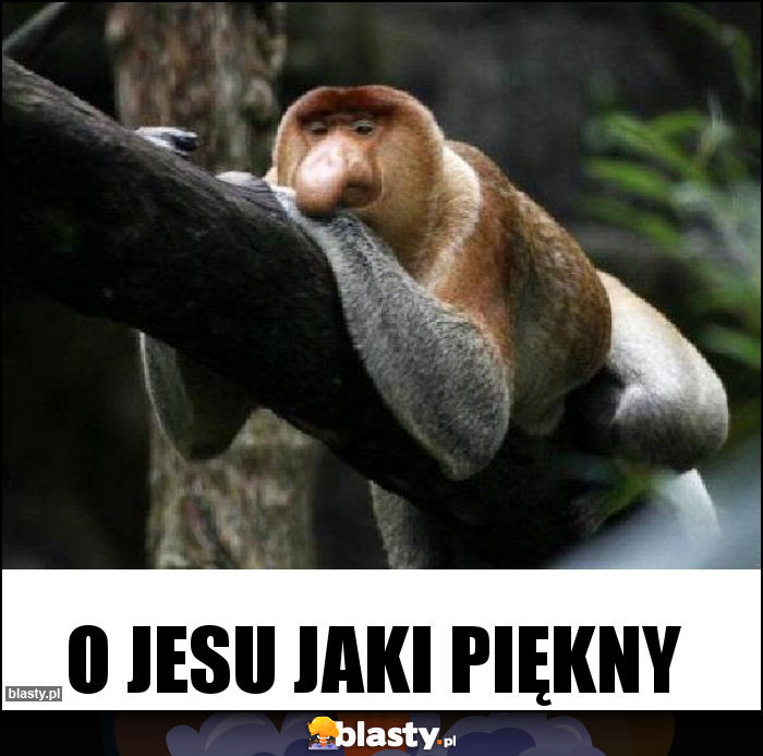 O jesu jaki piękny O jesu jaki piękny