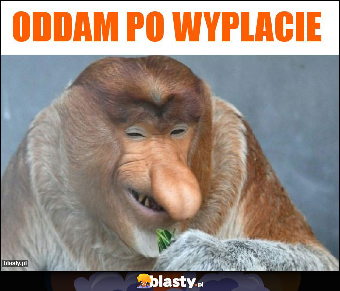 oddam po wyplacie