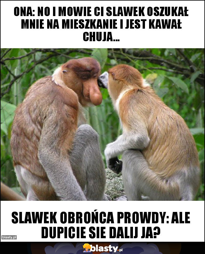 ONA: NO I MOWIE CI SLAWEK OSZUKAŁ MNIE NA MIESZKANIE I JEST KAWAŁ CHUJA... ONA: NO I MOWIE CI SLAWEK OSZUKAŁ MNIE NA MIESZKANIE I JEST KAWAŁ CHUJA...