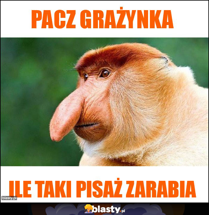 Pacz Grażynka Pacz Grażynka