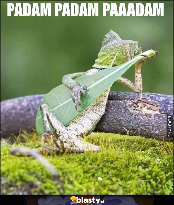 Padam padam paaadam Padam padam paaadam