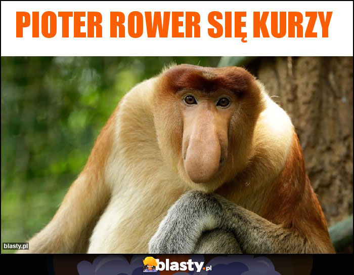 Pioter rower się kurzy