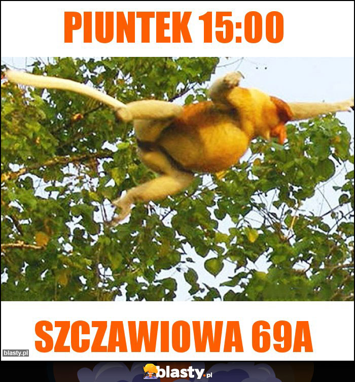 Piuntek 15:00 Piuntek 15:00