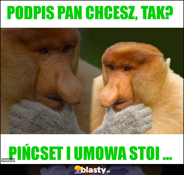 Podpis Pan chcesz, tak? Podpis Pan chcesz, tak?
