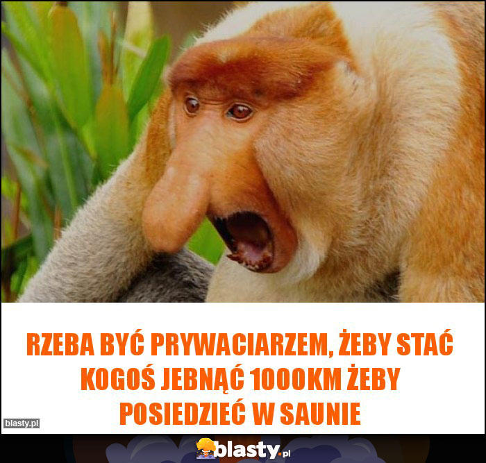 rzeba być prywaciarzem, żeby stać kogoś jebnąć 1000km żeby posiedzieć w saunie