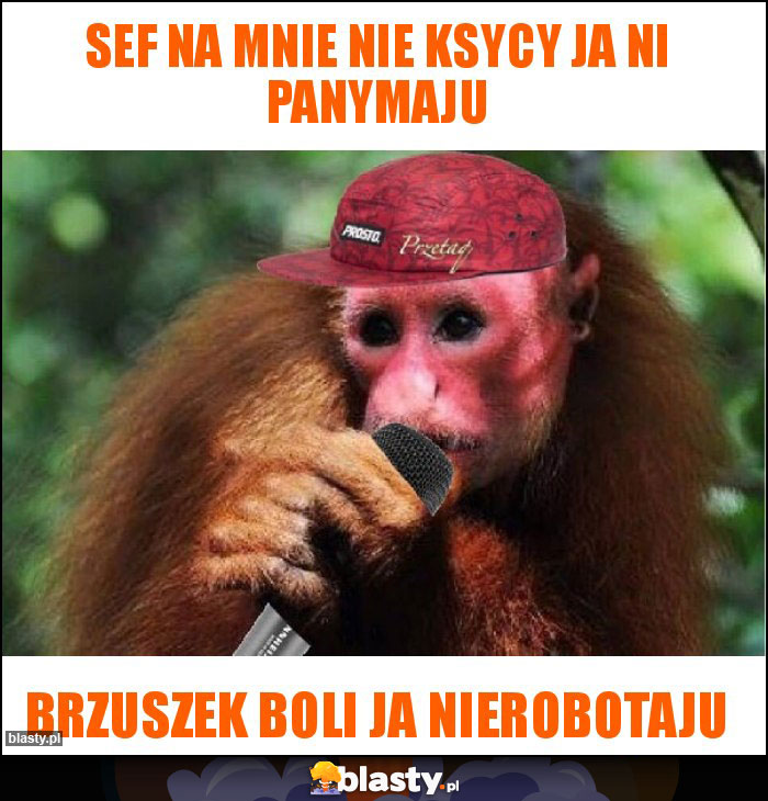 SEF NA MNIE NIE KSYCY JA NI PANYMAJU SEF NA MNIE NIE KSYCY JA NI PANYMAJU