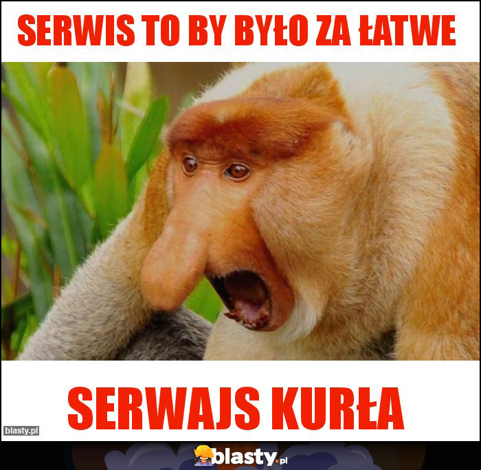 Serwis to by było za łatwe Serwis to by było za łatwe