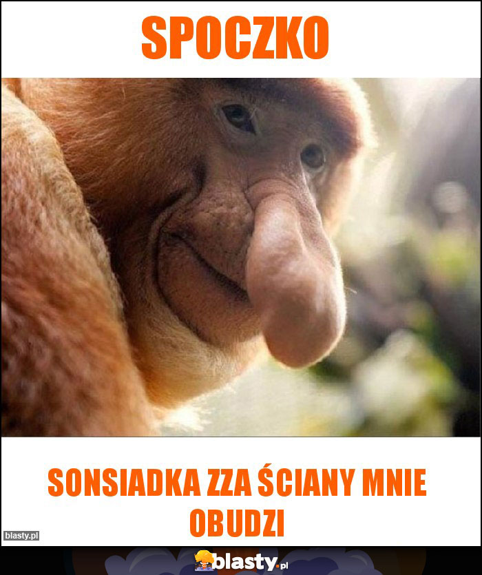 Spoczko