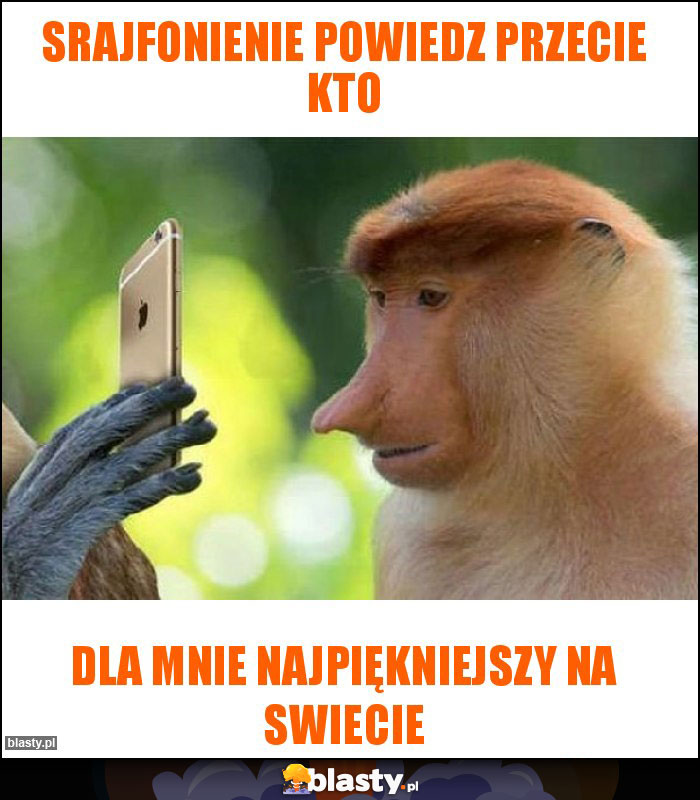Srajfonienie powiedz przecie kto