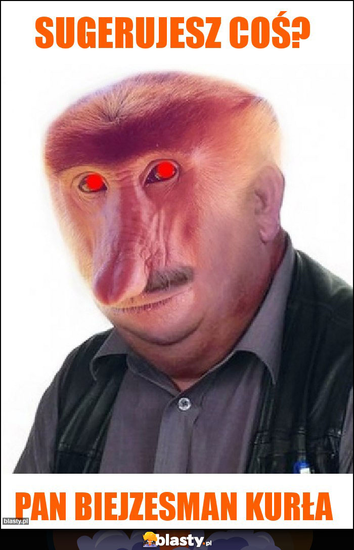 Sugerujesz coś? Sugerujesz coś?