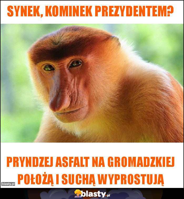 Synek, Kominek prezydentem? Synek, Kominek prezydentem?