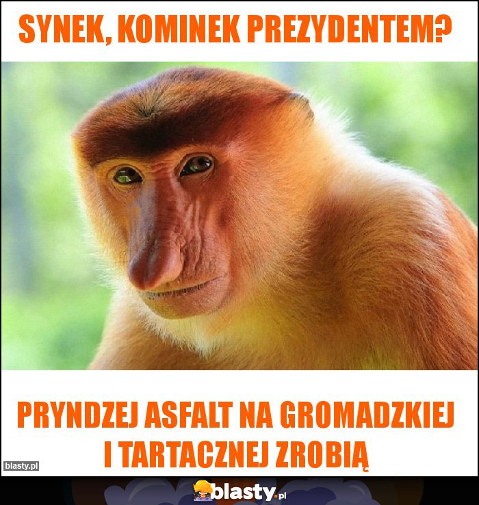 Synek, Kominek prezydentem? Synek, Kominek prezydentem?