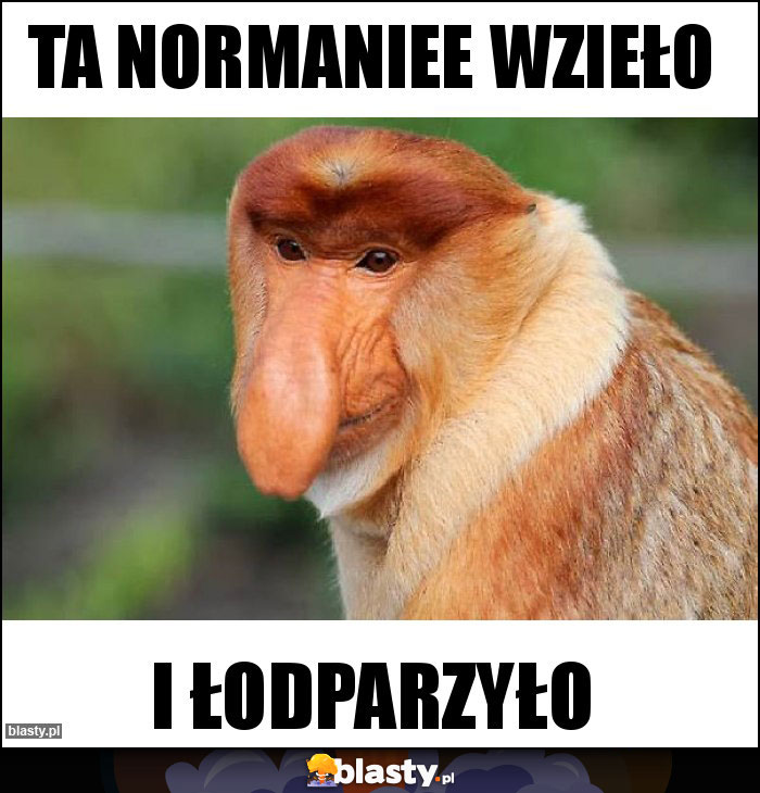 Ta normaniee wzieło Ta normaniee wzieło