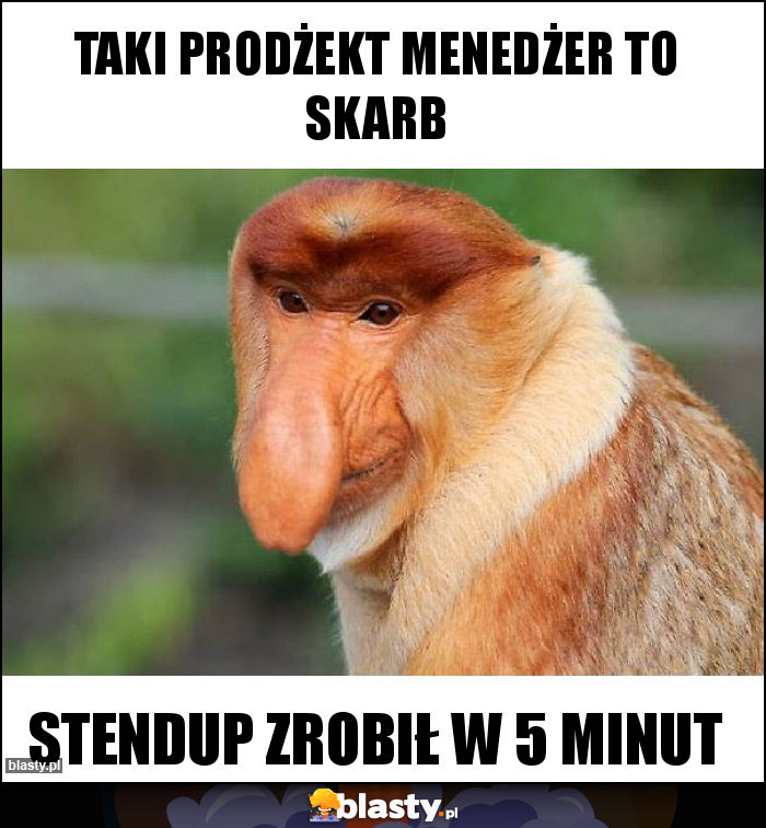 Taki prodżekt menedżer to skarb