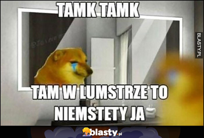 Tamk tamk, tam w lustrze to niemstety ja doge pieseł pies