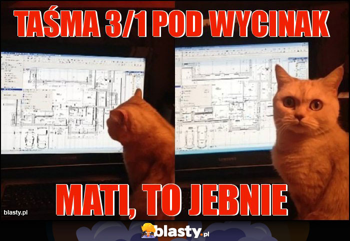 Taśma 3/1 pod wycinak Taśma 3/1 pod wycinak