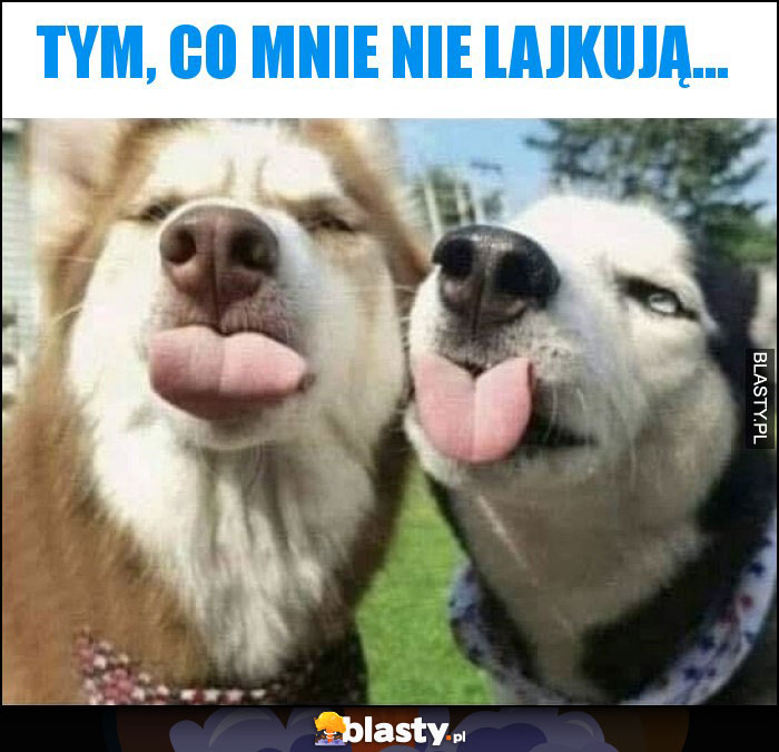 Tym, co mnie nie lajkują... Tym, co mnie nie lajkują...