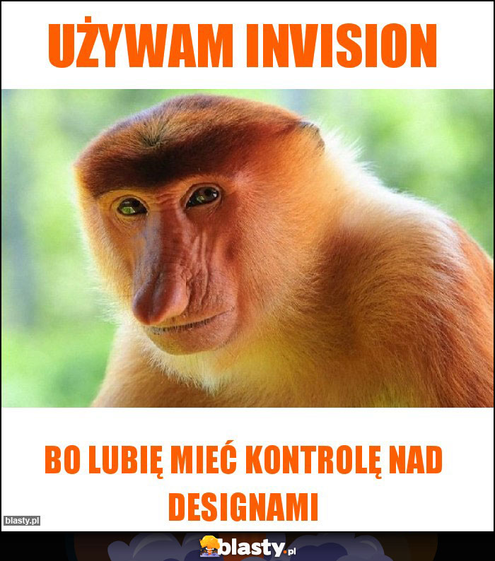 Używam invision Używam invision