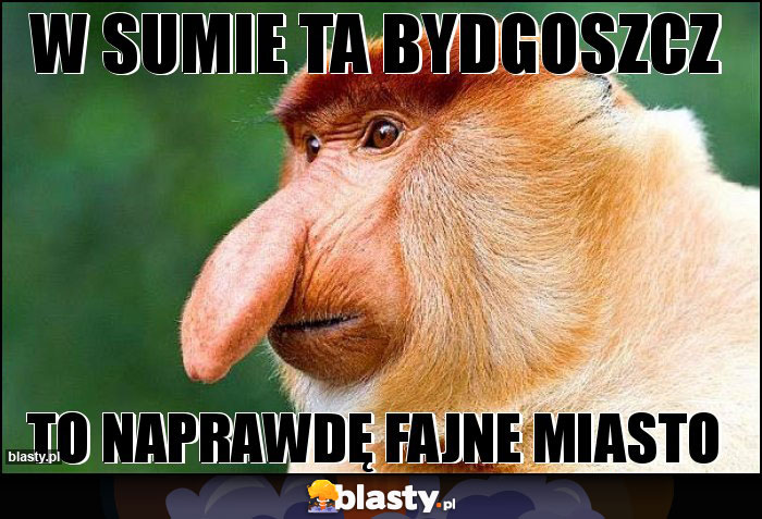 W SUMIE TA BYDGOSZCZ W SUMIE TA BYDGOSZCZ