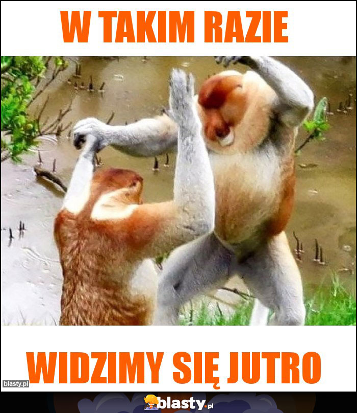 W takim razie W takim razie