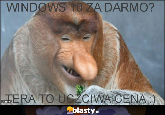 Windows 10 za darmo? Windows 10 za darmo?