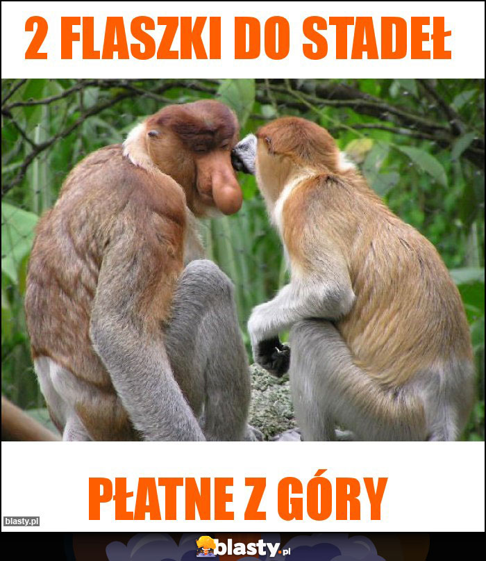 2 flaszki do stadeł 2 flaszki do stadeł