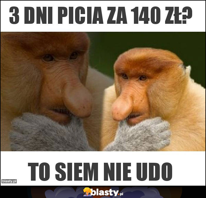 3 dni picia za 140 zł? 3 dni picia za 140 zł?