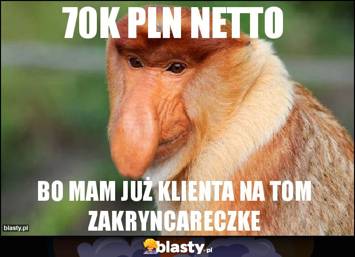 70k pln netto 70k pln netto