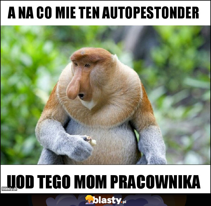 A na co mie ten autopestonder A na co mie ten autopestonder