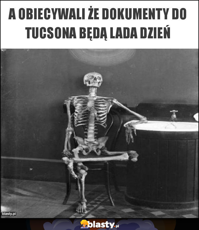 A OBIECYWALI ŻE DOKUmenty do TUCSONA BĘDĄ LADA DZIEŃ A OBIECYWALI ŻE DOKUmenty do TUCSONA BĘDĄ LADA DZIEŃ