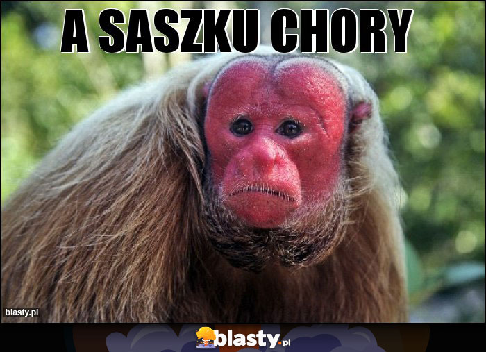 A Saszku chory A Saszku chory