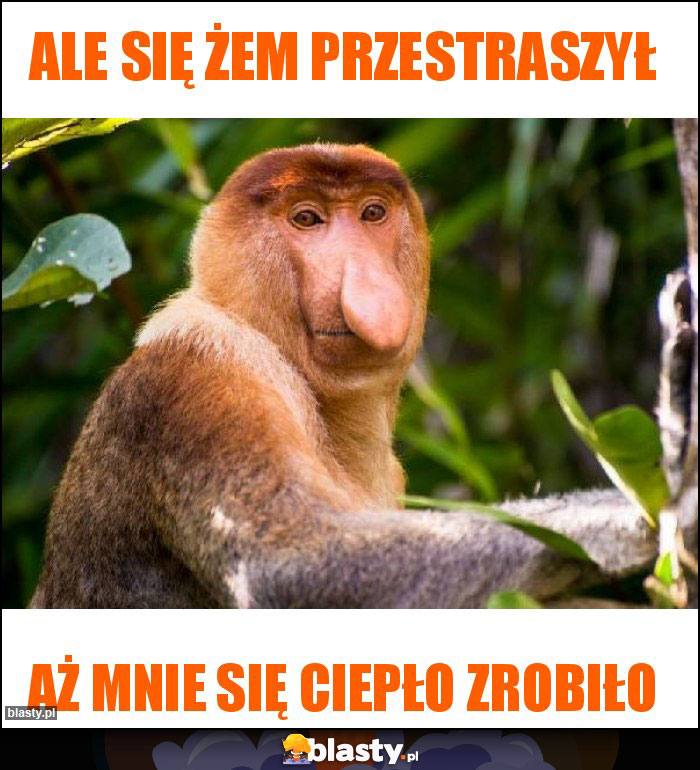 Ale się żem przestraszył Ale się żem przestraszył