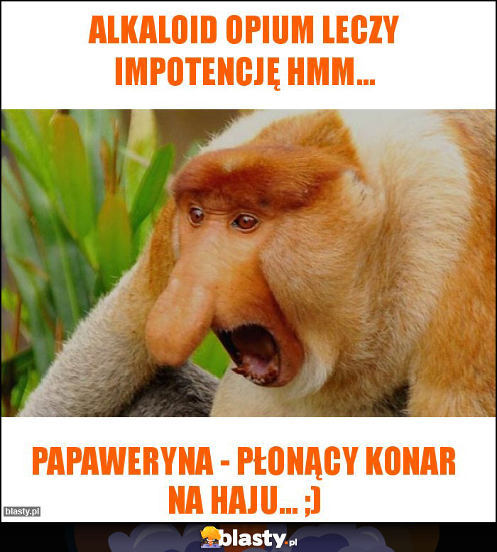 alkaloid opium leczy impotencję hmm... alkaloid opium leczy impotencję hmm...