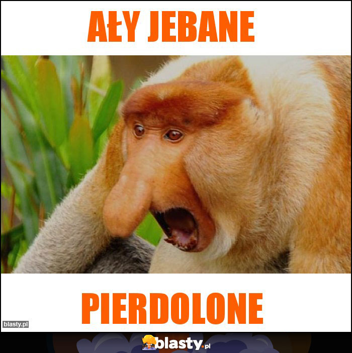 Ały jebane Ały jebane